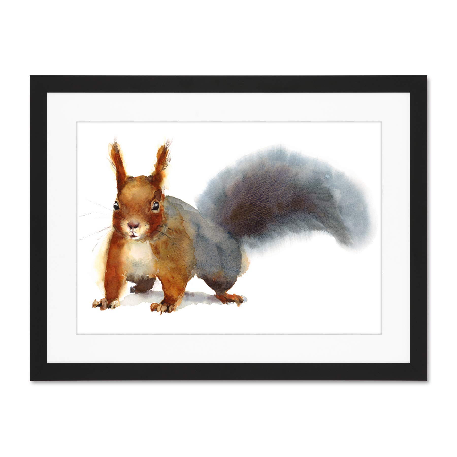 Wee Blue Coo Squirrel Watercolour Cute Large Framed Art Print Wall Poster 18x24 inch