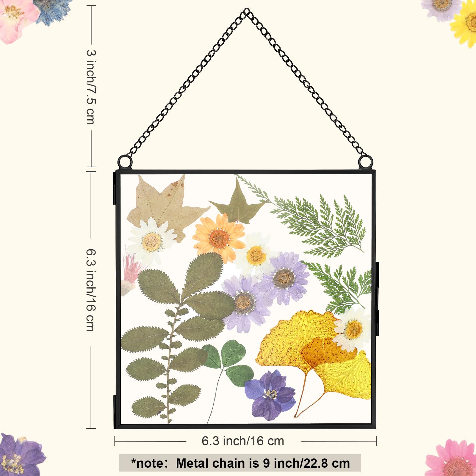 Treela Glasrahmen mit gepressten Blumen, 15,2 x 15,2 cm, zum Aufhängen, Doppelglas-Bilderrahmen, klar, quadratisch, schwebende Rahmen mit Ketten, Abschlussfeier, Hochzeitsgeschenk für getrocknete