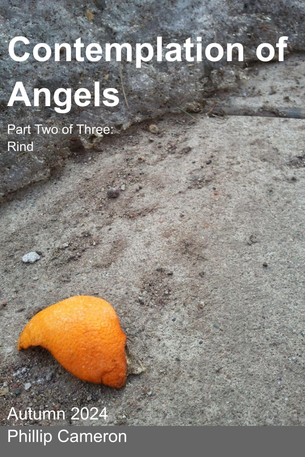 Contemplation of Angels: Part Two: Rind (Contemplation of Angels 2024)
