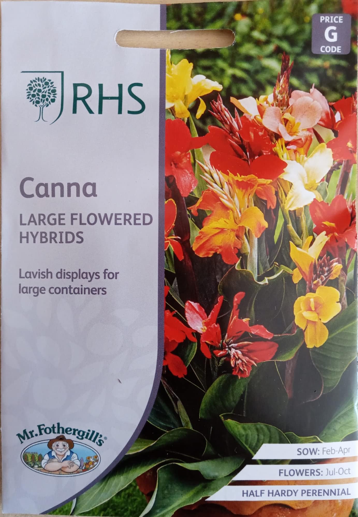 Mr Fothergill's RHS Canna Indica Large Flowered Hybrids