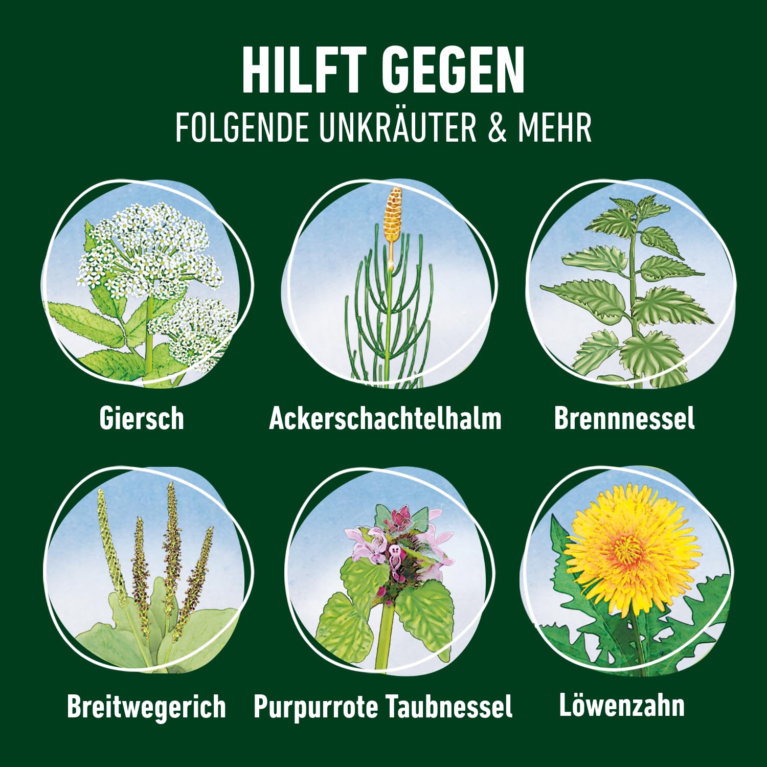 VOROX Unkrautfrei Express - Bekämpfung von Unkräutern an Zierpflanzen, Obst und Gemüse, wirkt gegen Algen, Moos und mehr als 50 Unkräuter - 2,2L Konzentrat - 4,85 Pfund