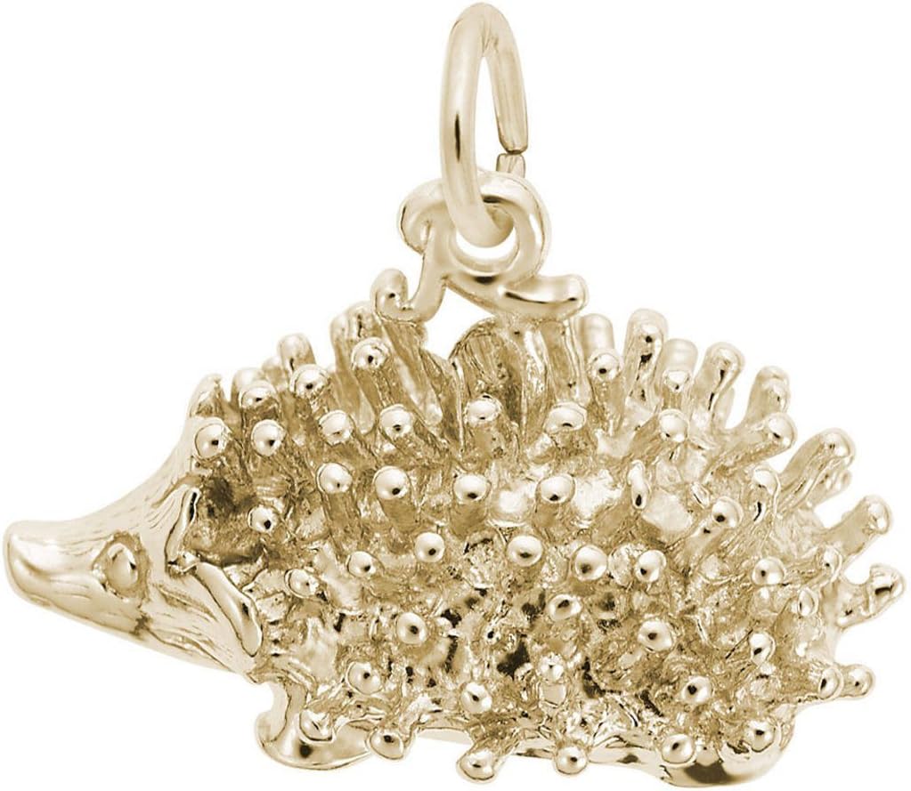 Rembrandt Porcupine Charm