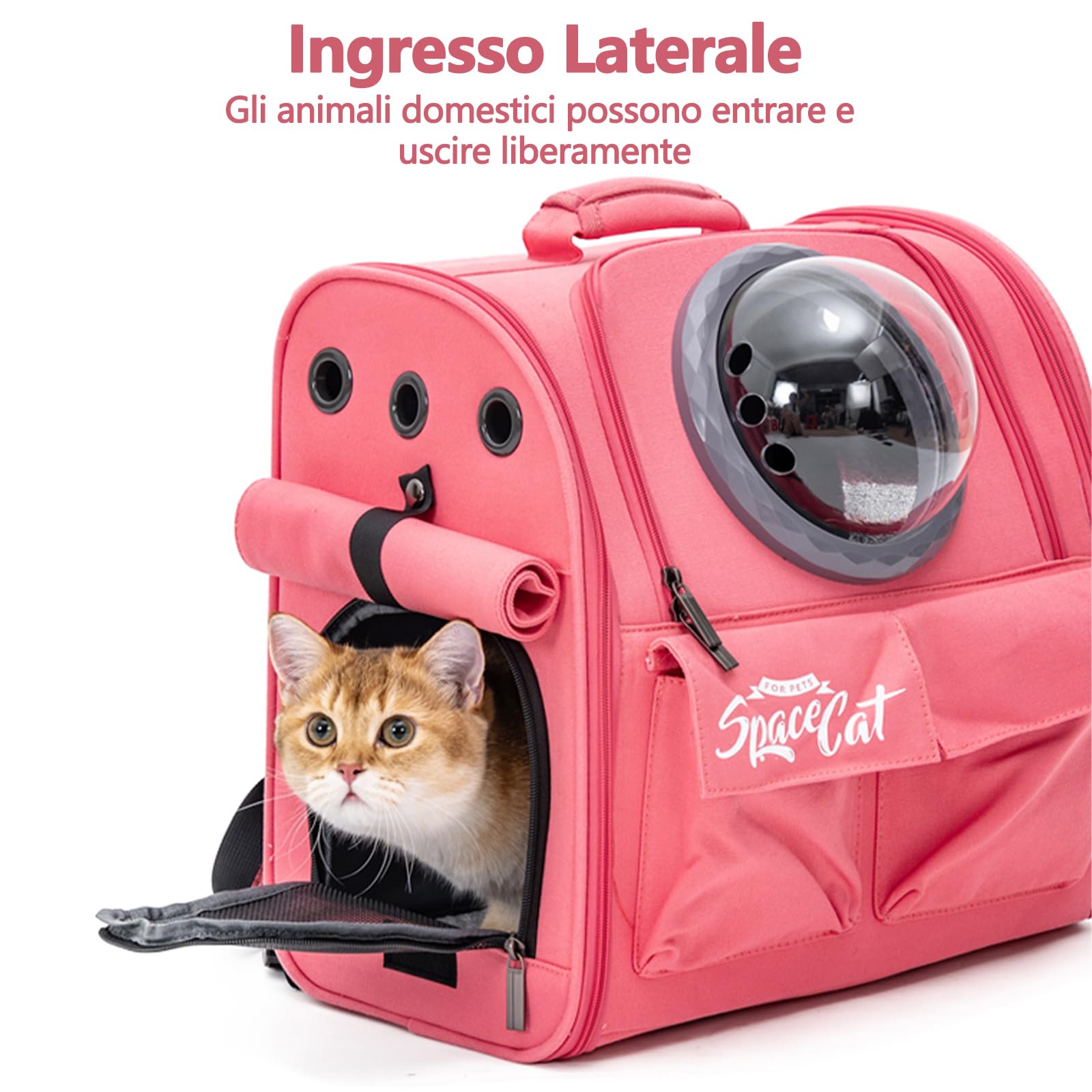 Galatée Zaino Per Il Trasporto Di Cani, Zaino Per Animali Domestici Approvato Dalle Compagnie Aeree, Borsa Per Gatti Per Viaggi, Escursioni, Campeggio All'Aperto(Rosa)