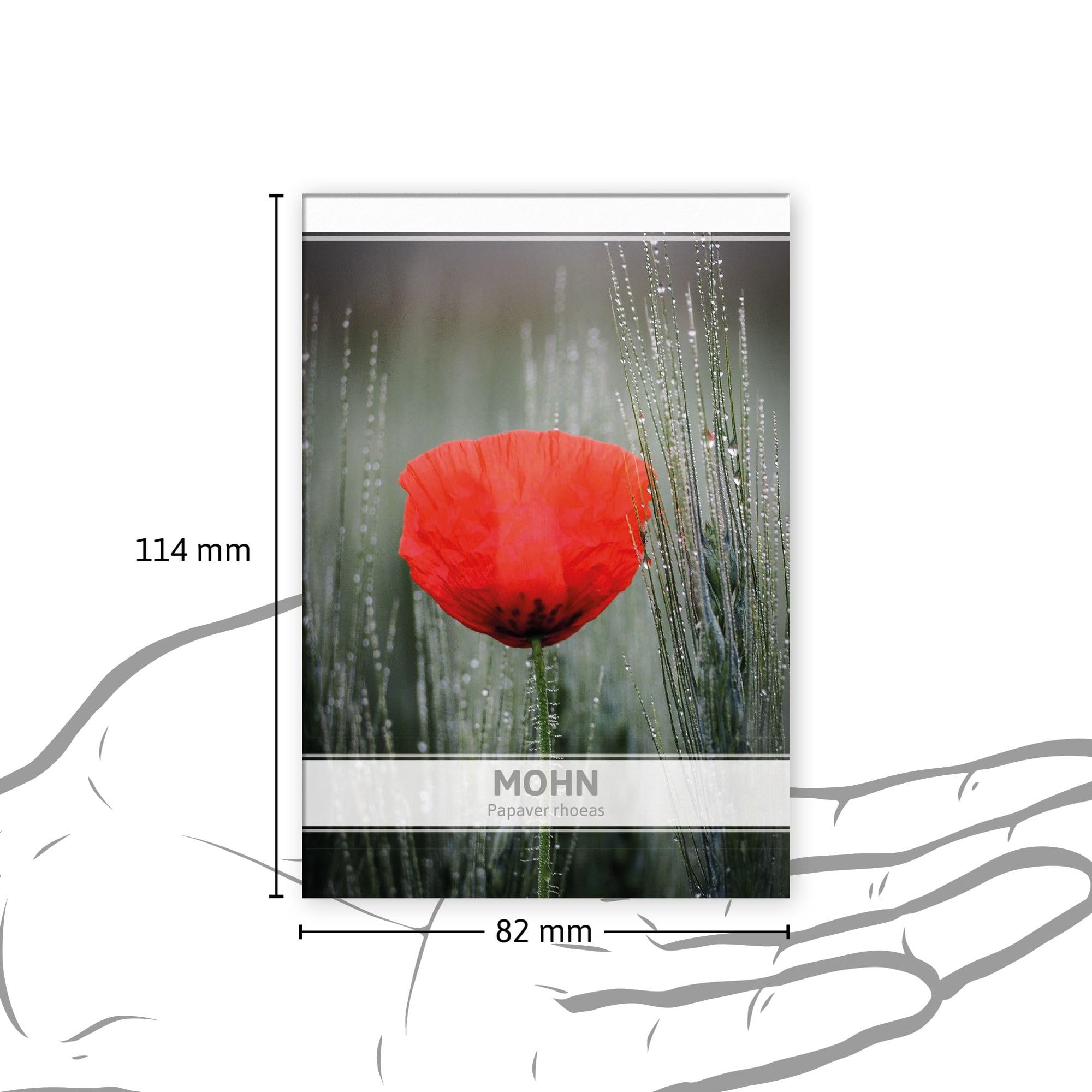 FLORTUS Mohnsamen als Gastgeschenke (100 Stück) | Blumensamen perfekt als Dankeschön Geschenke, Werbegeschenke & Trauerkarten Danksagung