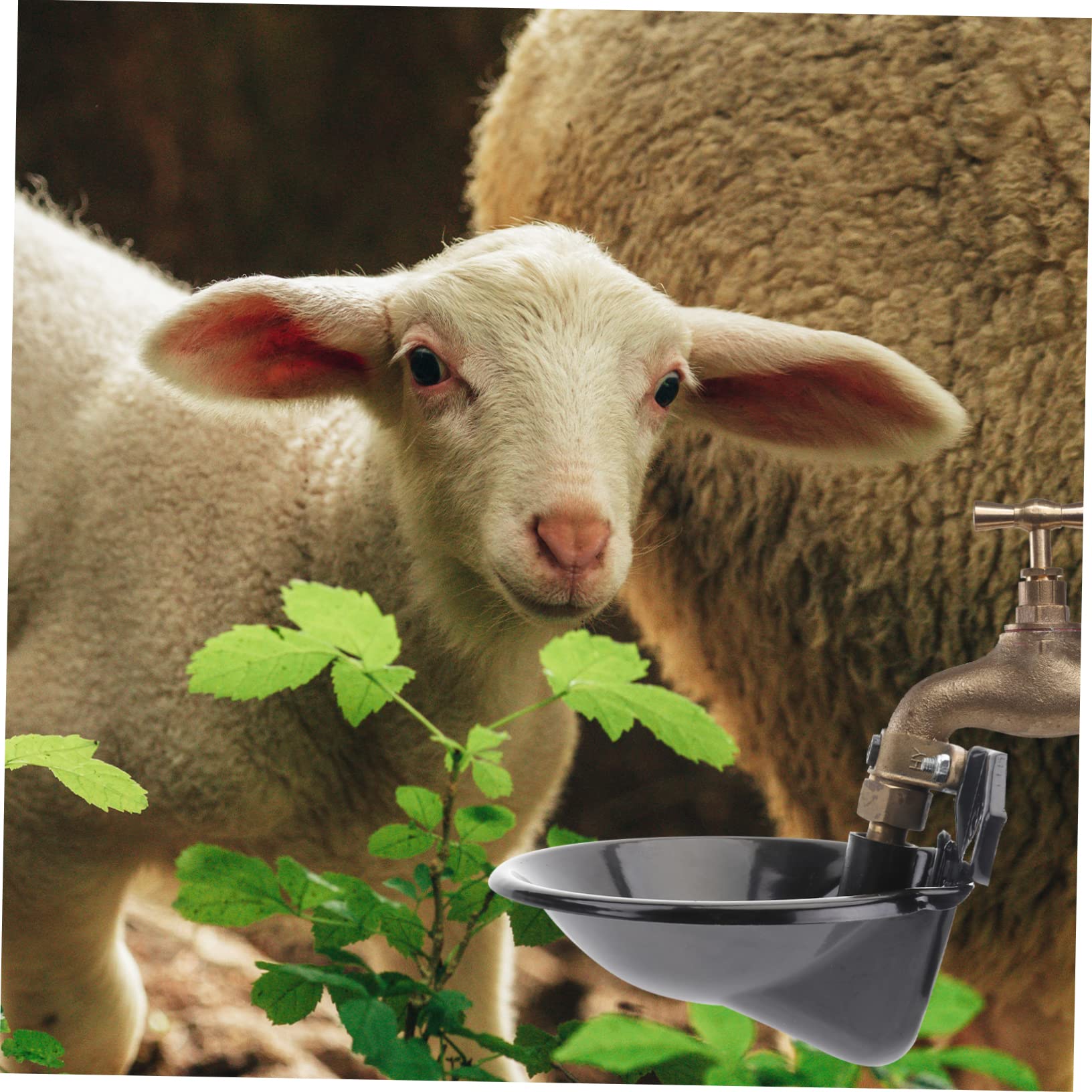 Abaodam Abbeveratoio Automatico Bevitore Nero in Ferro e Rame per Pecore Resistente alla Ruggine , Ciotola Automatica per Acqua Agricola per Allevamento
