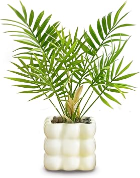 Photocatalyst, Fake Green, Mini Decorative Plant, Tropical Ornamental Plant, Chabayashi Ceramic Material, Square Pot, Artificial Flowers, Decorative Plant, Fake Pot Included, Stylish Interior Goods