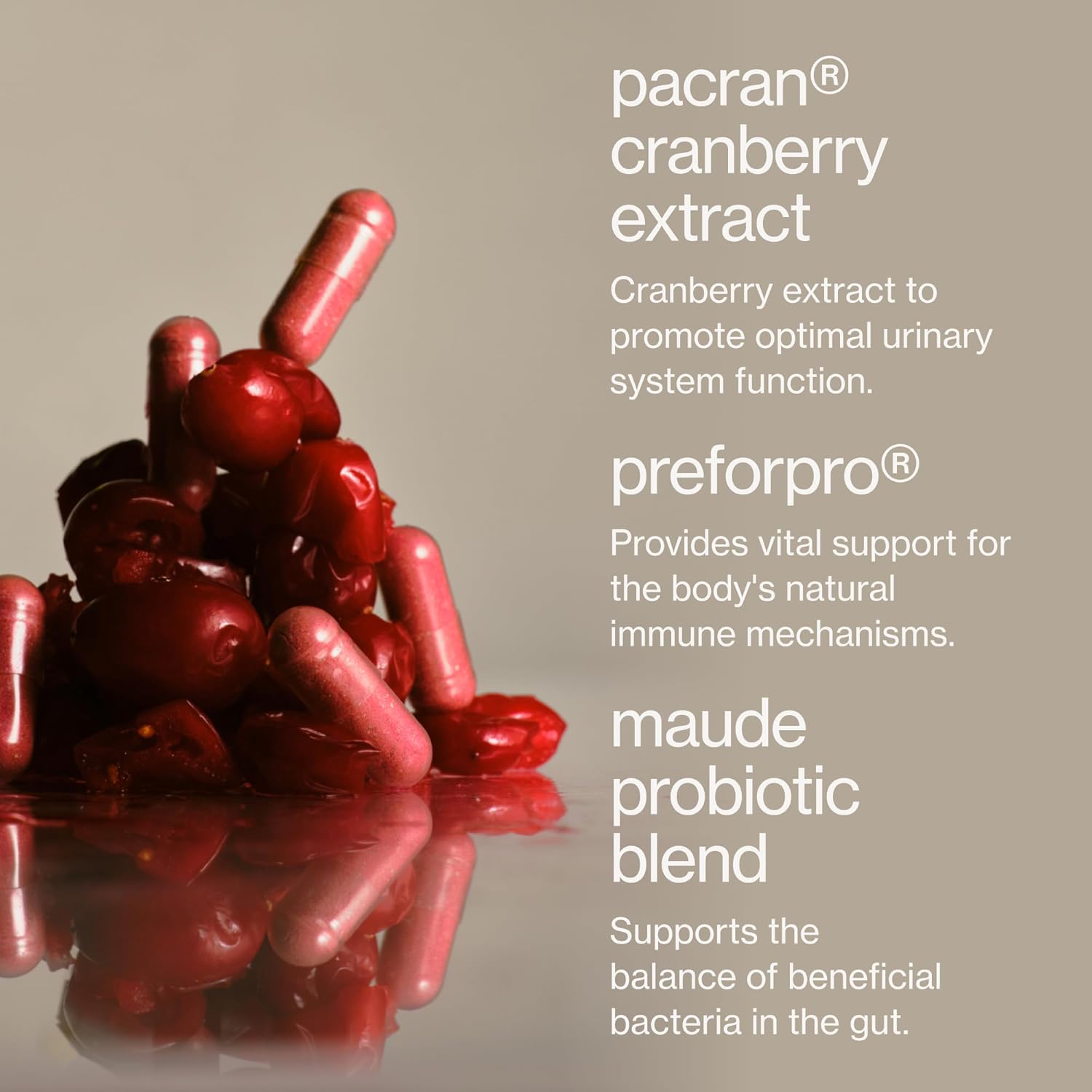 MAUDE Base - Daily Probiotics for Digestive Health & Immune Support - Promote Urinary Tract Health & Nurture Your Gut Microbiome - with Zinc, Vitamin C & PaCran Cranberry Extract (60 Capsules) - Image 4