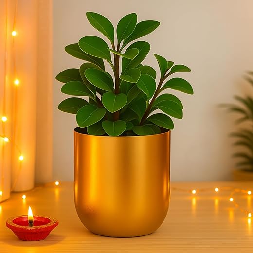 ecofynd 4.3 inches Round Metal Planter for Home Decor, Pack of 1 (Gold)