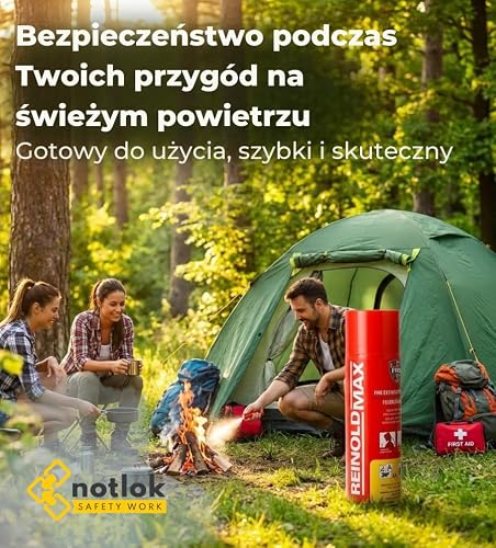 notlok Safety Work – 2x 650 ml spray gaśniczy bez fluoru | Bezpieczna dla skóry piana gaśnicza pożary A F & E do 1000 V | Mini gaśnica do auta, domu i samochodu, mała gaśnica