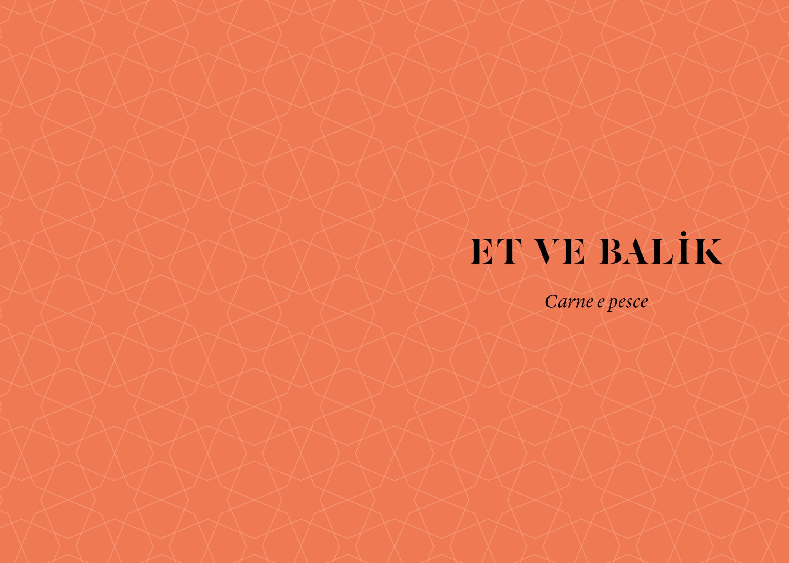 Istanbul. Ricette dal cuore della Turchia. Ediz. illustrata