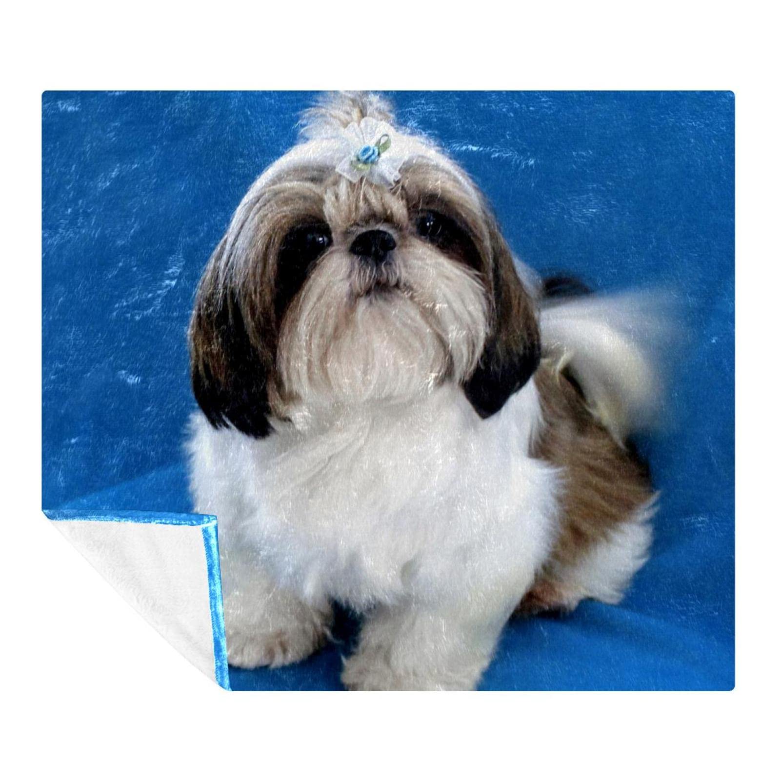 Couverture polaire super douce pour chien Shih Tzu Chiot