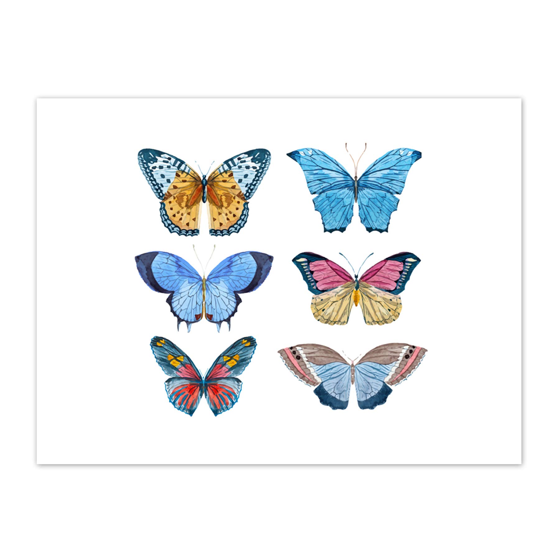 Wee Blue Coo Butterflies Watercolour Art Print Canvas Premium Wall Decor Poster