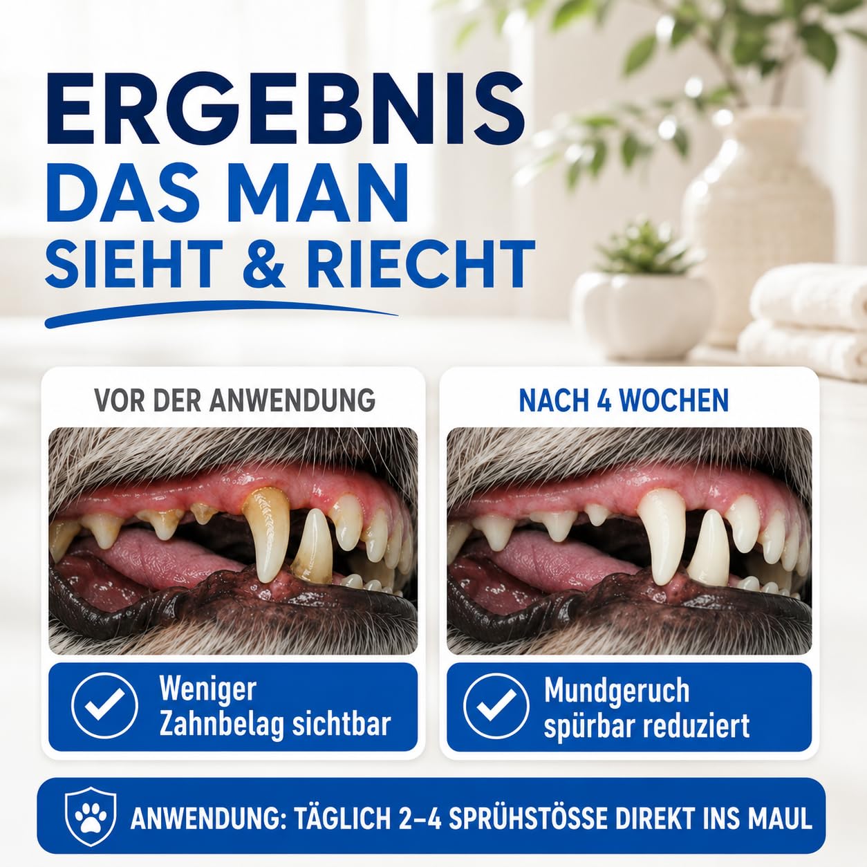 Dentalspray für Hunde & Katzen 100% natürlich 200 ml - Zahnpflege Dental Spray gegen Mundgeruch und zur Vorbeugung von Zahnstein- Zahnreinigung & Zahnsteinentfernung Golden Pets