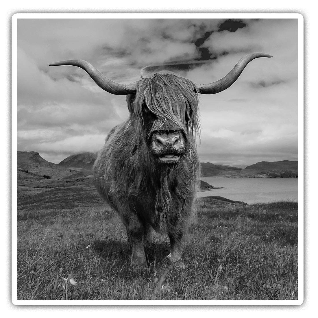 Destination Vinyl Ltd Multi 2 X Square 10Cm Vinyl Stickers - Scottish Highland Cows Scotland Cow 15728