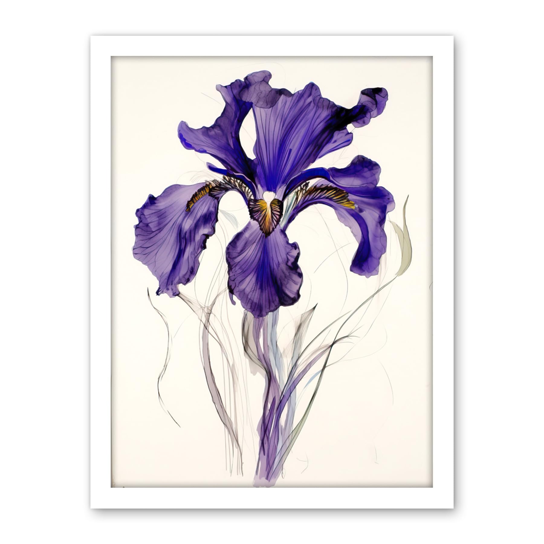 Artery8 Iris Reticulata Watercolour Flower Bloom Drawing Artwork Framed Wall Art Print 18X24 Inch