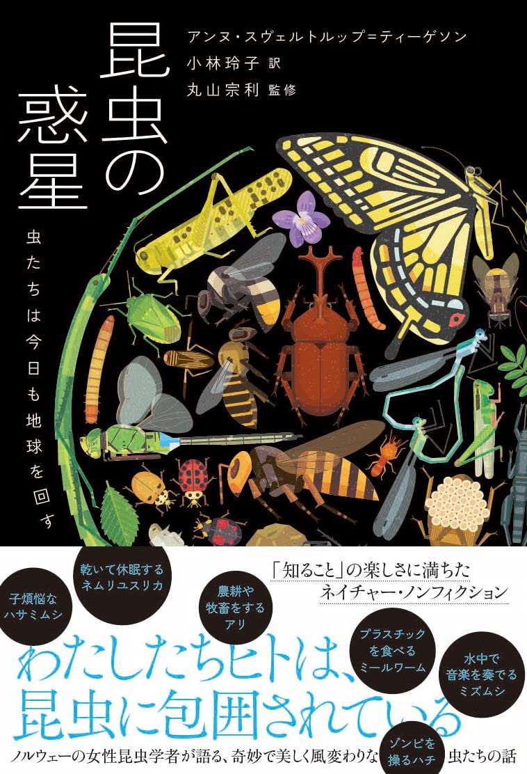 昆虫の惑星 虫たちは今日も地球を回す (&books) | アンヌ