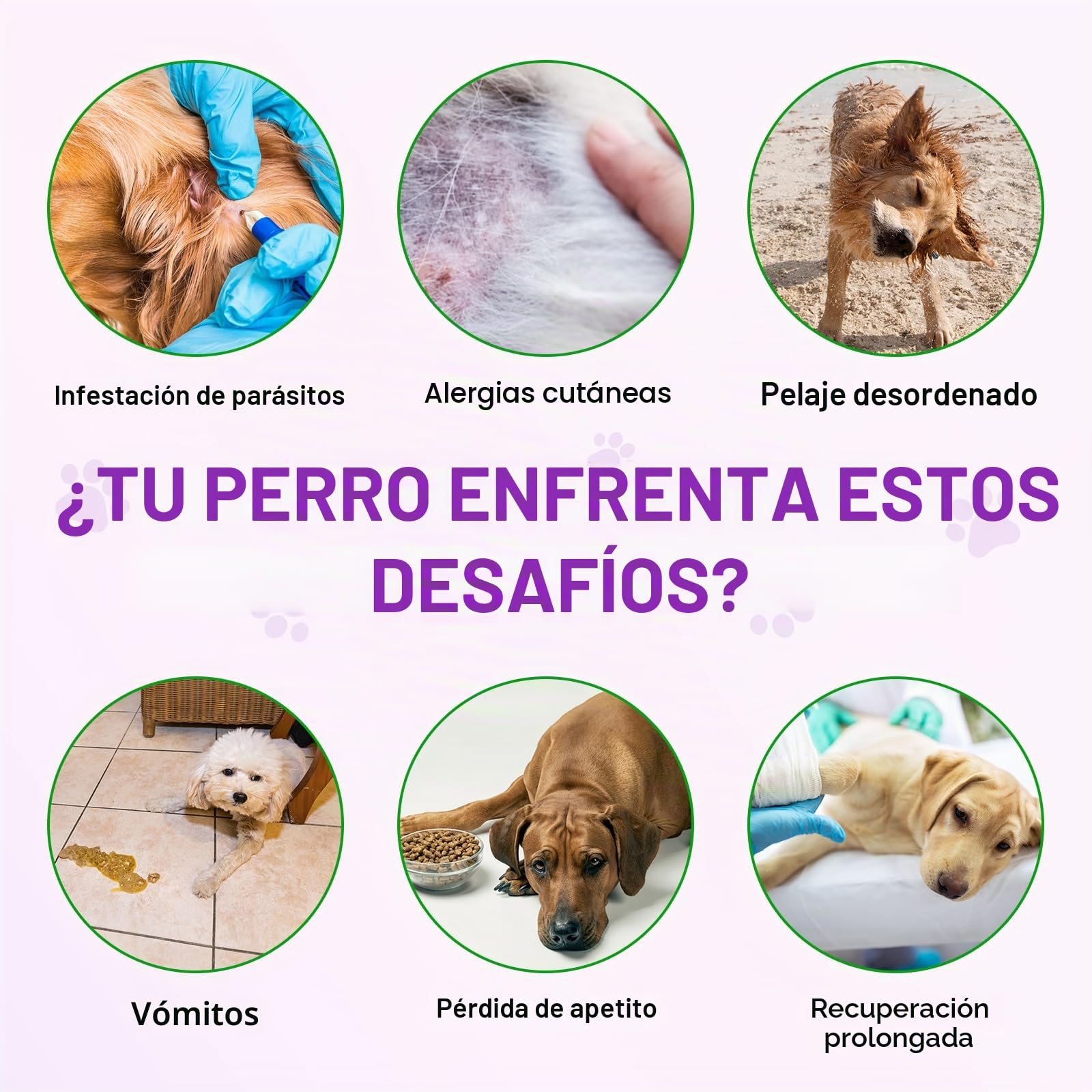 Dog Allergy Relief Treats, Alivio de la alergia en perros, Masticable para fortalecer el sistema inmunitario, Elimina la picazón, el lamido y el rascado, Alergias estacionales, 150 unidades/Pato