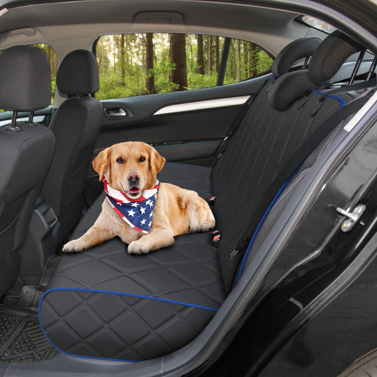 dog bench seat