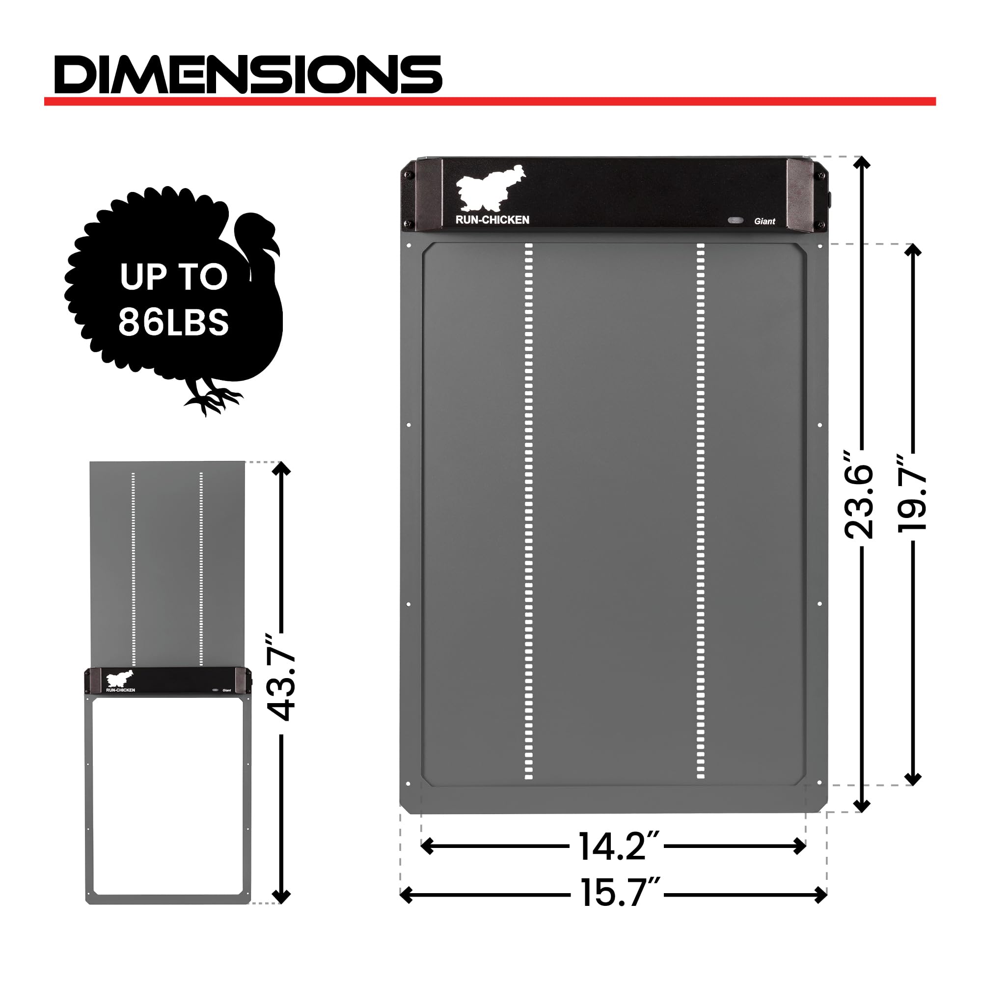 Run‑Chicken Door Giant Gray – Puerta automática Gris para gallineros Grandes, Funciona con Pilas AA, Control por App, Sensor de luz, Temporizador con retardo y Aluminio Resistente para Exteriores
