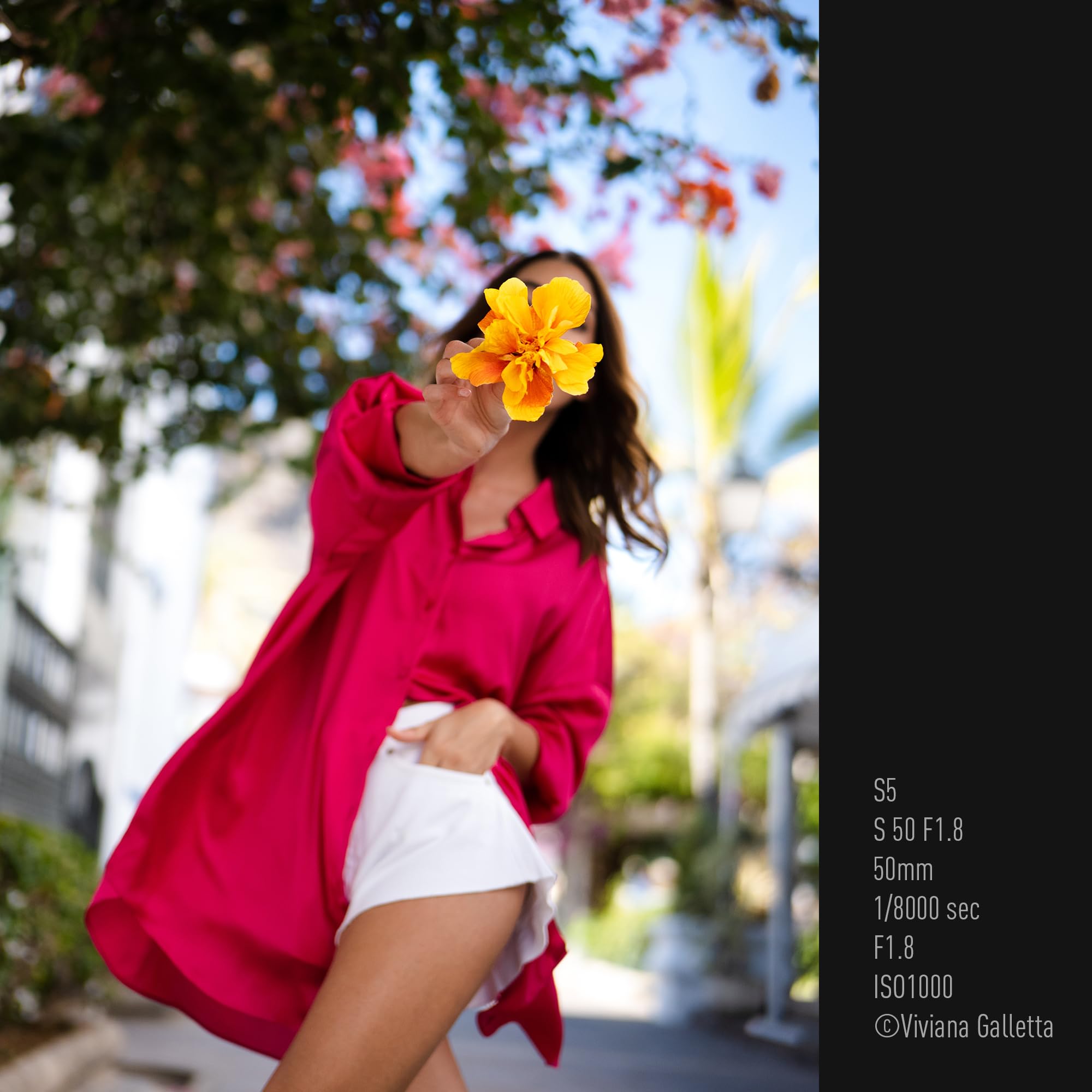 Panasonic Lumix S 50mm F1.8 | Objectif à focale Fixe Plein Format S-S50E (Bokeh, Portraits, Tropicalisé, Compact et léger) Noir – Compatible Monture L | Provenance France. Emballage securisé. Livré avec Facture dont TVA.