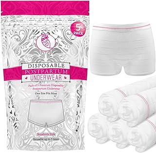 Ninja Mama Disposable Postpartum Underwear (Without Pad) with Storage Pouch. Washable Mesh Panties for Women (5 Count). Labor and Delivery Maternity Surgical and C Section Hospital Bag - One Size