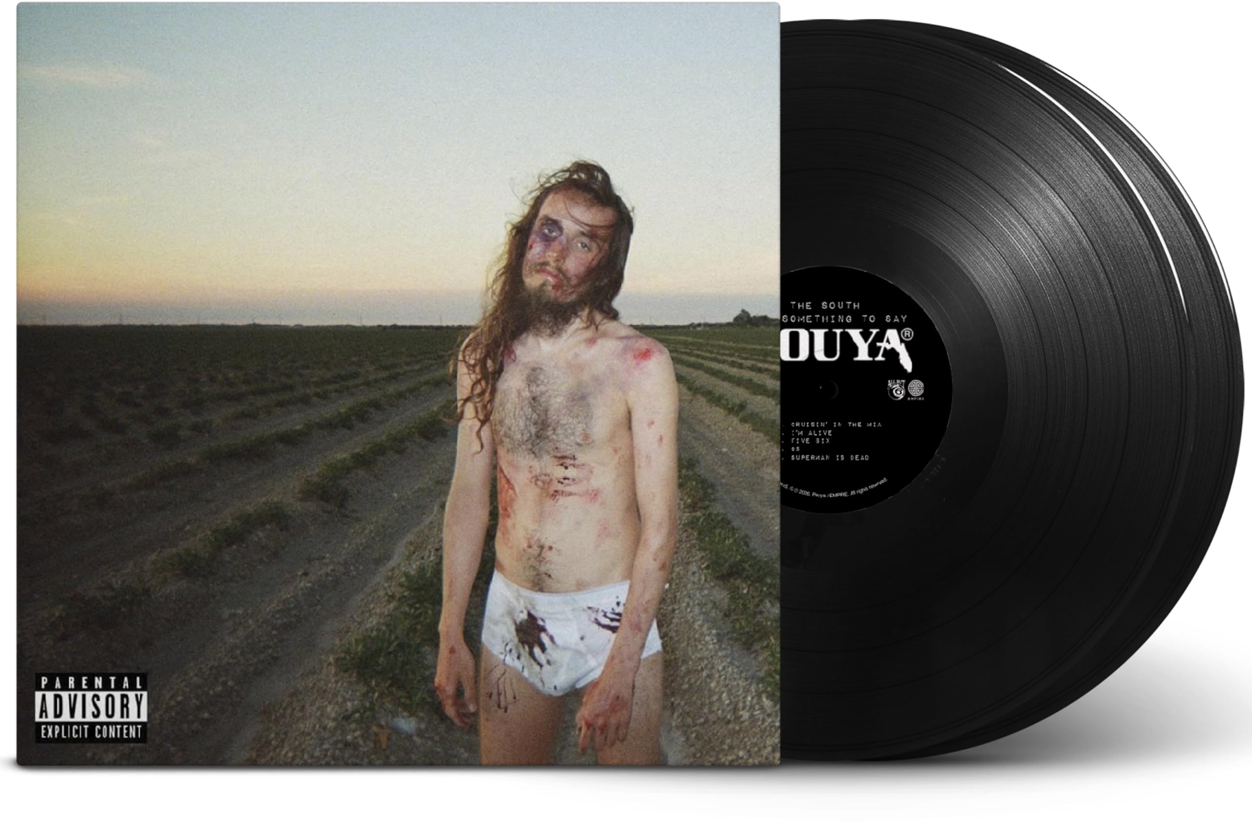 The South Got Something To Say [VINYL]