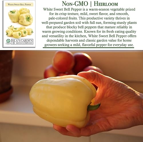Miniatura 3 de Semillas de pimiento blanco dulce (Capsicum annuum) – Más de 20 semillas tradicionales sin OMG de Isla's Garden Seeds, sabor dulce suave, pimientos