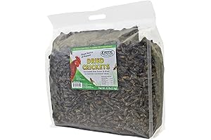 Freeze-Dried Crickets: A Protein-Packed Treat for Your Pets