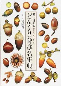 どんぐりの呼び名事典 拾って楽しむ | 宮国 晋一 |本 | 通販 | Amazon