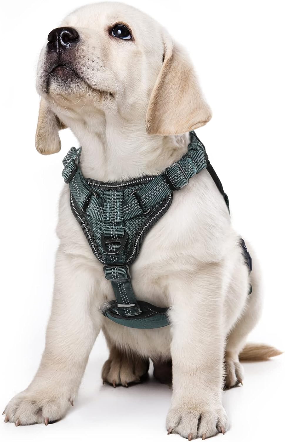 rabbitgoo Dog Harness for Small Dogs No Pull, Small Dog Vest with Bungee Shoulder Straps, Reflective Dog Walking Harness with Handle & 2 Metal Clips, Belly Adjustable, Soft Padded (Green, S)