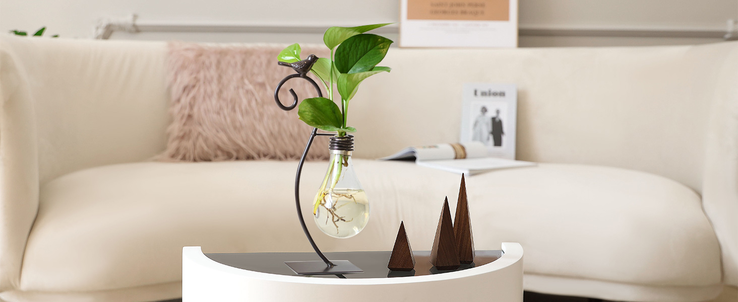 Amazon.com: Marbrasse Desktop Glass Planter Hydroponics Vase