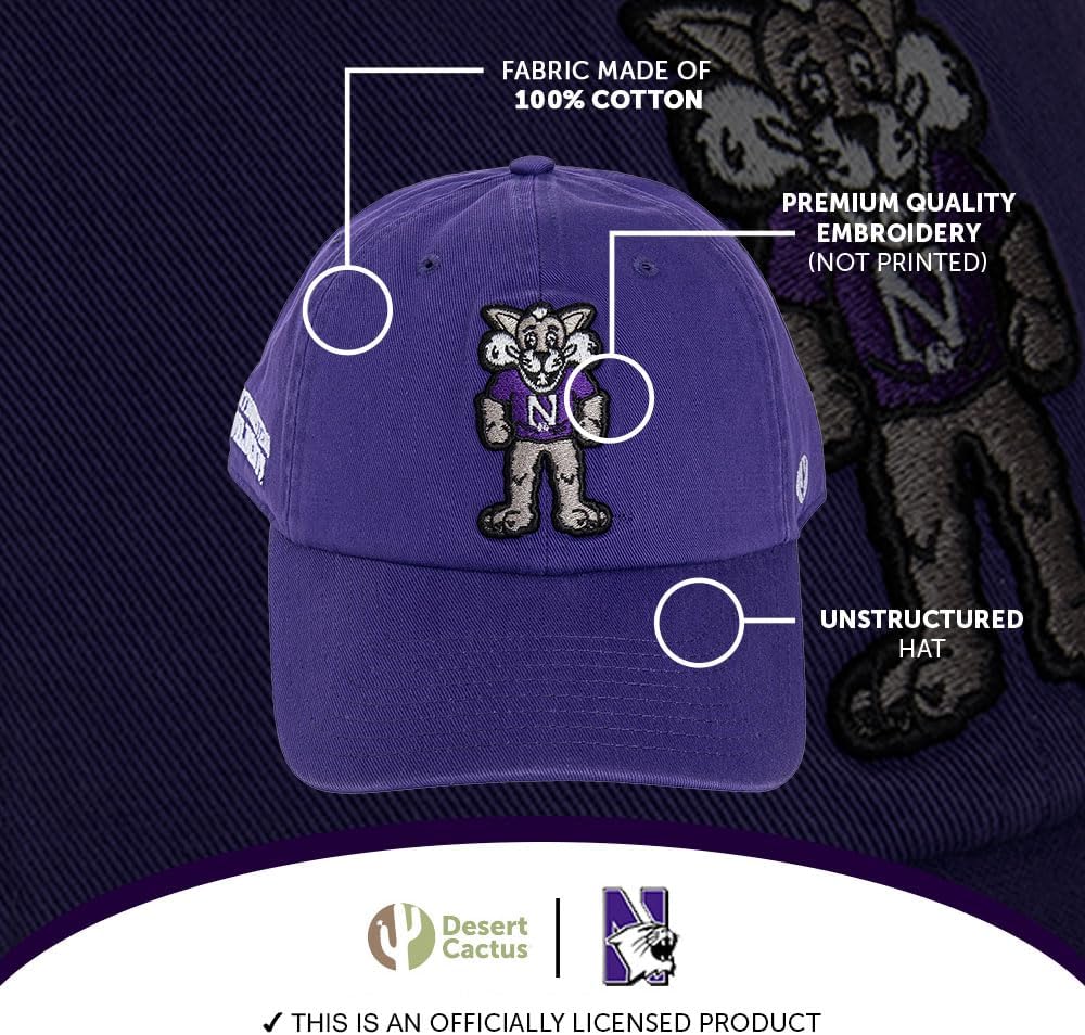Desert Cactus Northwestern University Baseball Hat NU Wildcats Brimmed Embroidered Hats Cap Adjustable Cloth Strap Adult (Style I) Purple