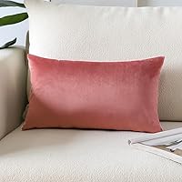Vista 21 de Artscope Fundas de Almohada de Terciopelo de Lujo Fundas de Almohadas Cuadradas Decorativas Fundas de Cojines Suaves Sólidas para Sofá de Sala Sofá