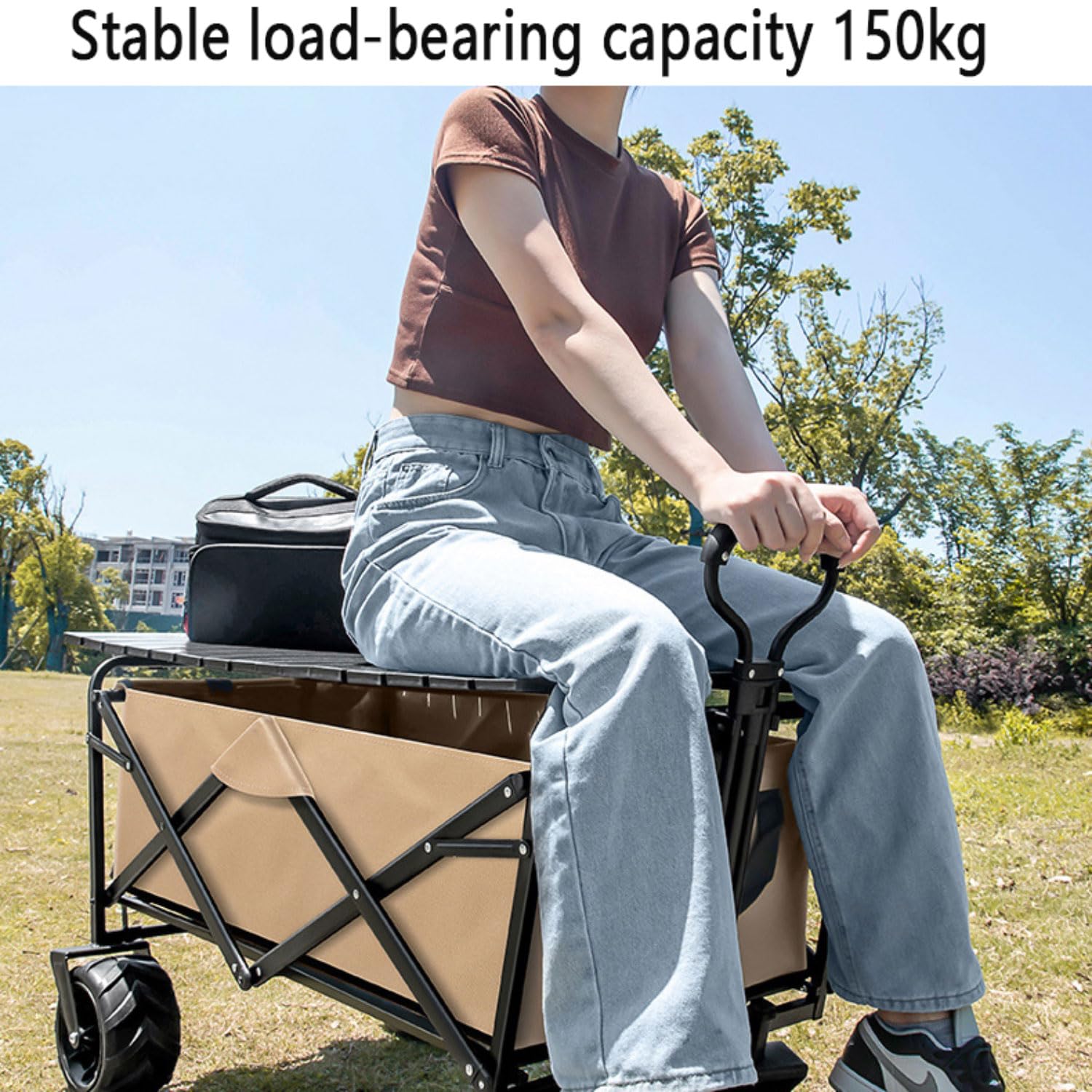 Carrello Spiaggia 150kg Carrello con Ruote portatutto Grandi carrellos Pieghevole con Braccioli Regolabili e Tasche Laterali Carrelli da Giardino per Campeggio all'aperto Ogni Tipo di Terreno