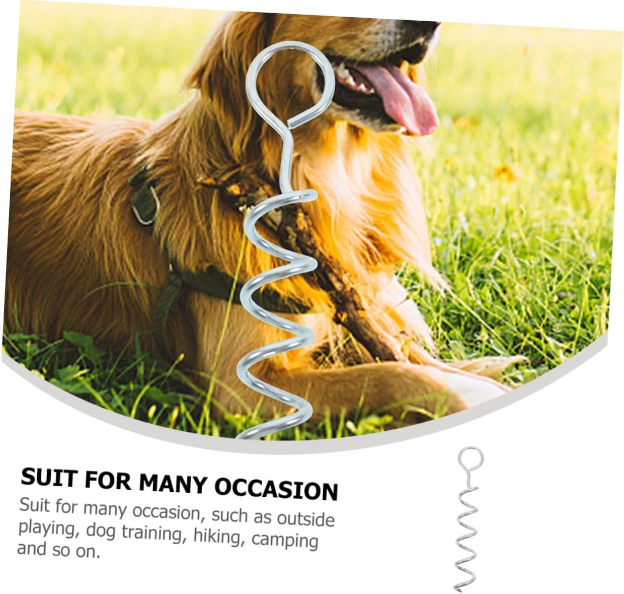 Heavy Duty Dog Tie Out Stake with Handle Spiral Ground Anchor for Dogs Portable Dog Stake for Outdoor Use Stable Support for Camping and Backyard Activities