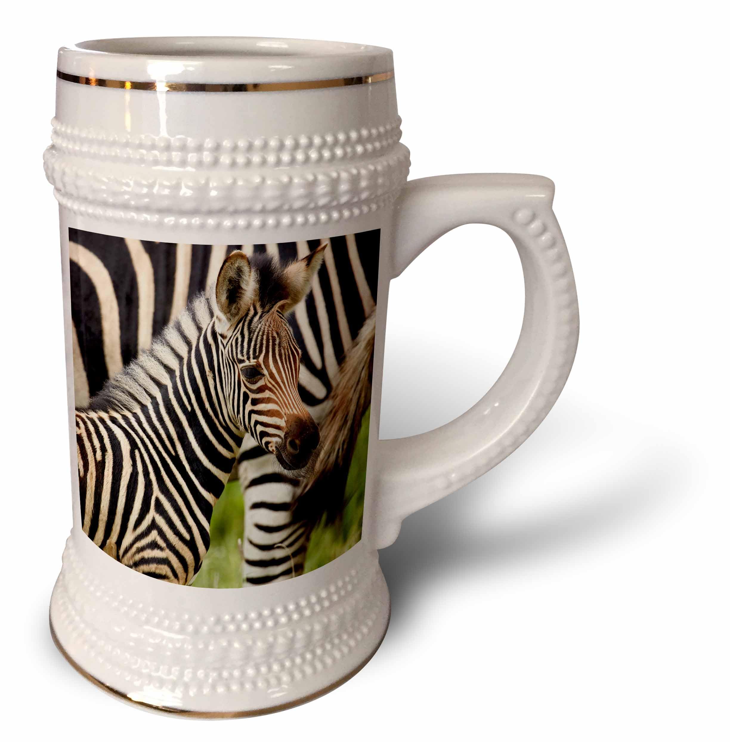 3dRoseBurchells zebra foal, Kruger NP, South Africa - 22oz Stein Mug (stn-366248-1)