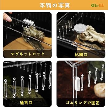 爬虫類　トカゲ　ヘビ　水槽　ケージ　ショーケース　90センチ　ライト　備品多数 Amazon | Eterins 爬虫類 ケージ 飼育ケース レオパ ケージ
