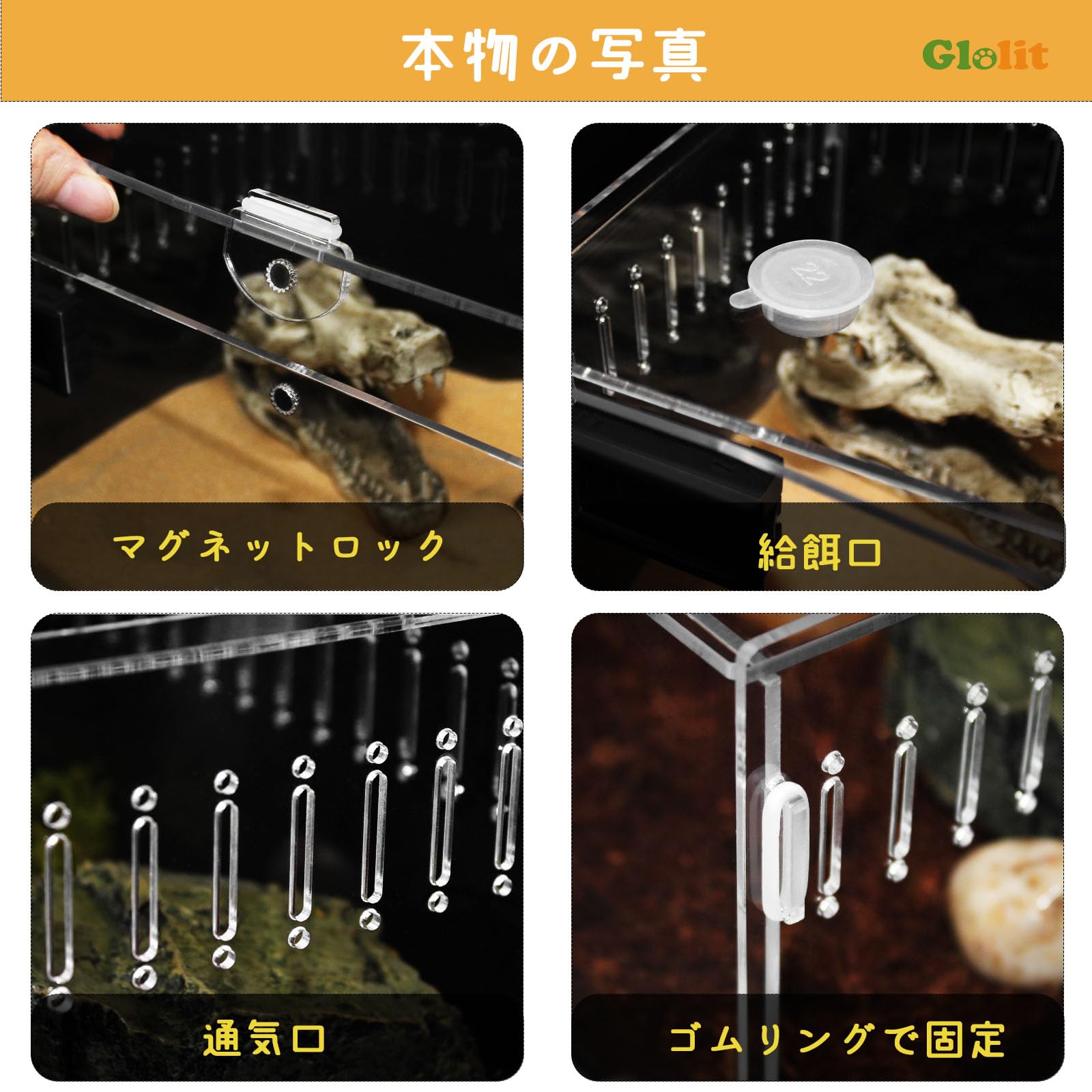 Amazon | 爬虫類 ケージ トカゲ ケージ カナヘビ飼育ケース