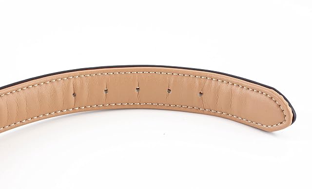 Foto 6 de 8 de Brute Strength - Collar de Cuero para Perro - Marrón - XL · 56–63 x 3,5 cm