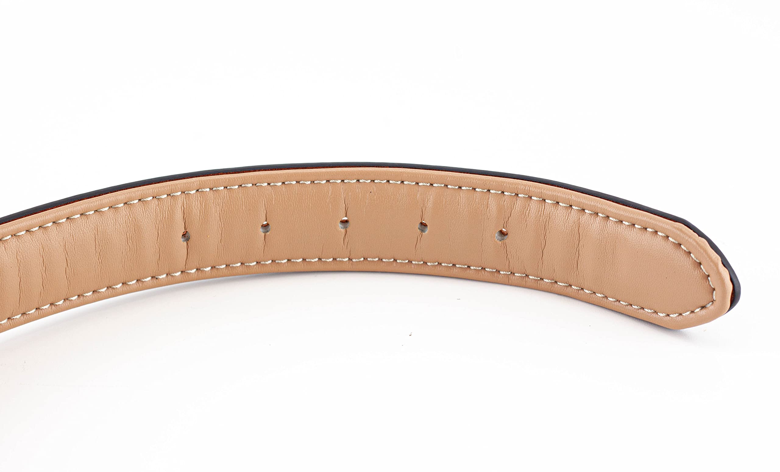 Brute Strength - Lujoso Collar de Cuero para Perros - Marrón - XXL - (66-73) x 3,5 cm