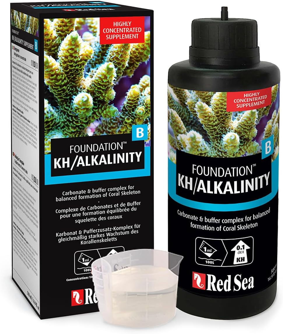 Reef Foundation B 1L