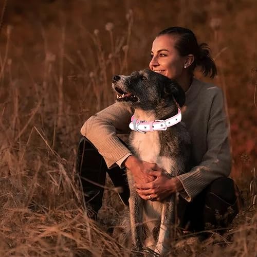 Miniatura 3 de HIIXHC Collares reflectantes para perros con tira reflectante, material de buceo suave y ajustable, collares para mascotas para perros pequeños,