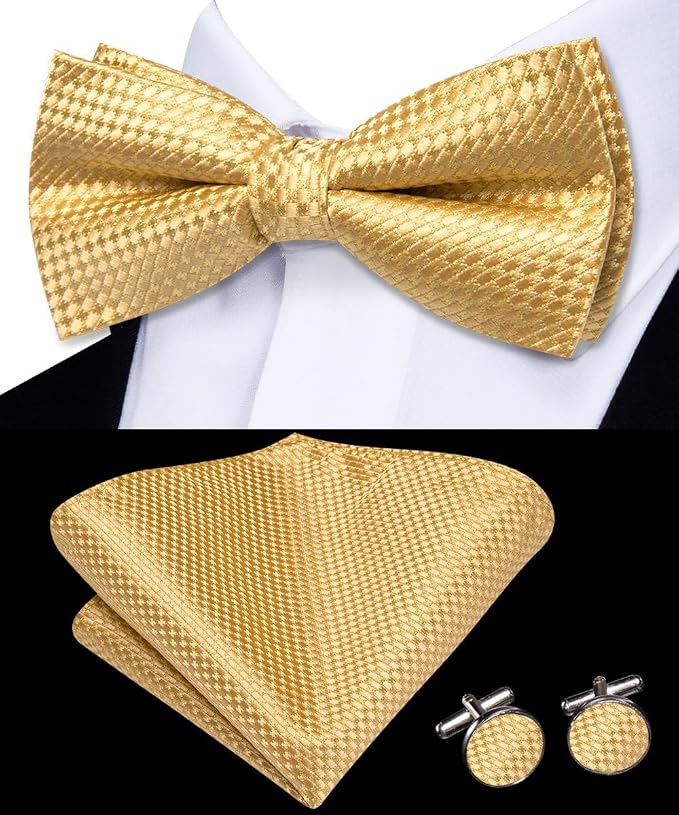 Conjunto de corbata preanudada y pañuelo para hombre miniatura 6