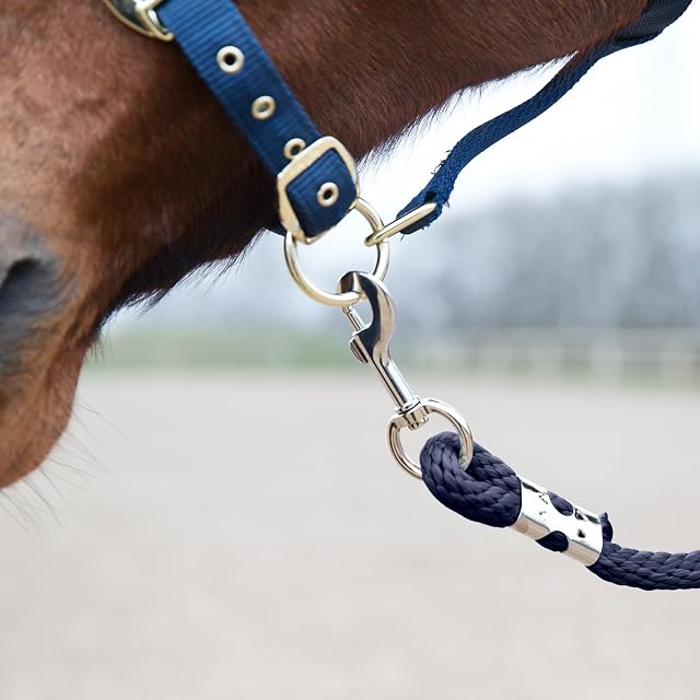 Foto 3 de 4 de HORZE Snap Buckle Lead