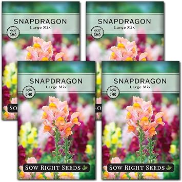 Sow Right Seeds - Large Mix Snapdragon Seed for Planting Flower Garden 4pk