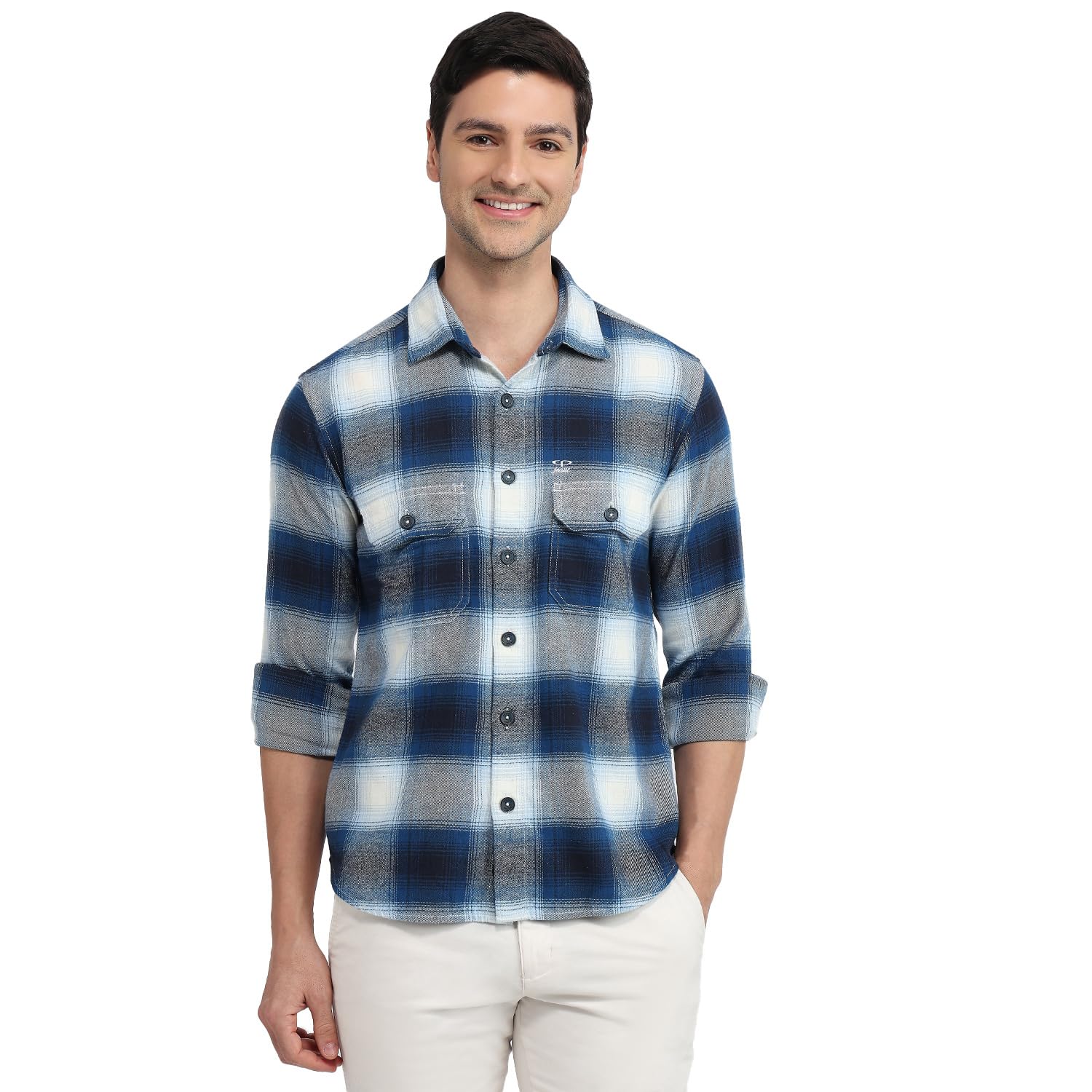 Men Regular Fit Checks Pattern Pure Cotton Plain Collar Full Sleeve Casual Shirt-image-41