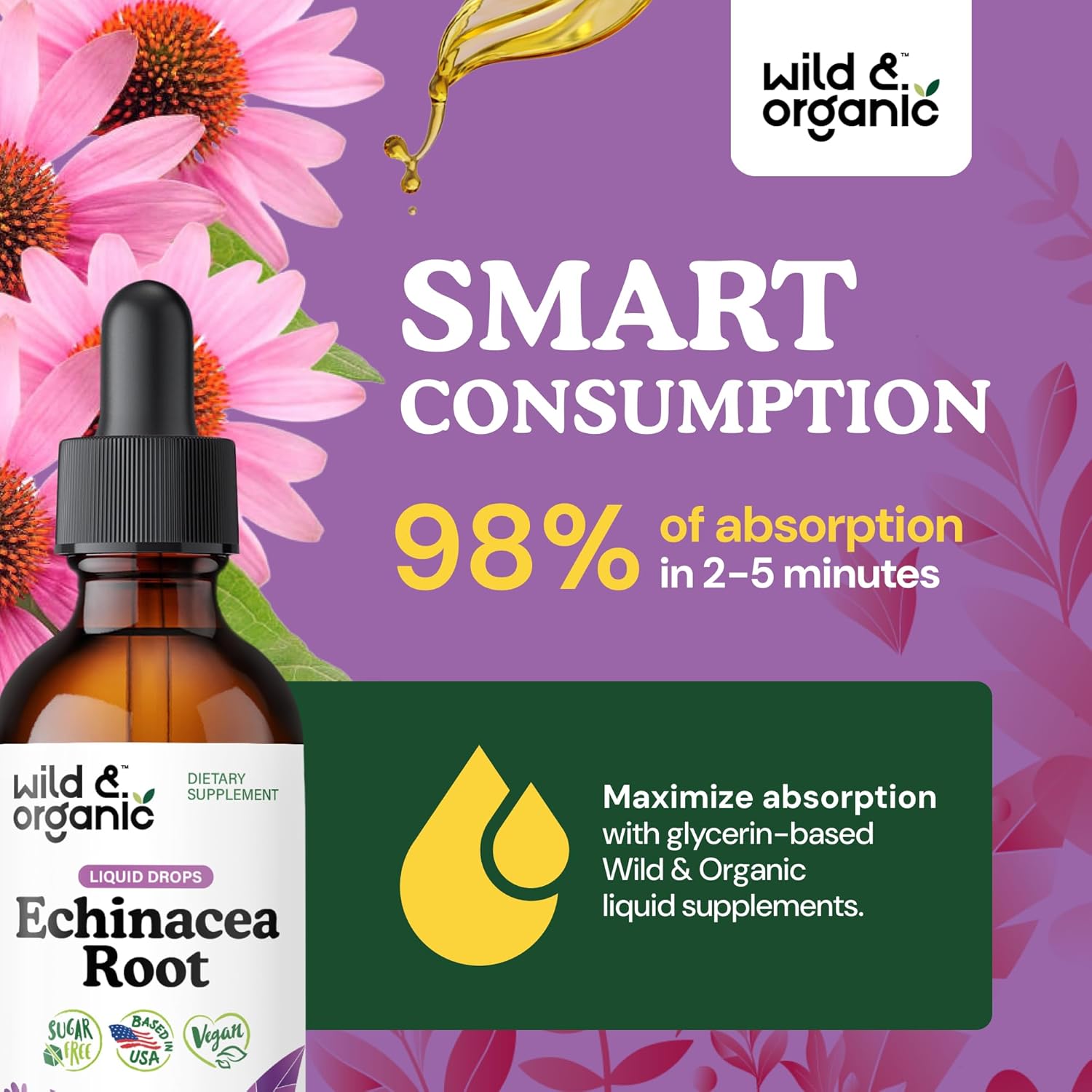 Wild & Organic Echinacea Tincture - Immune & Lymphatic Drainage Supplements - Liquid Echinacea Herb Drops - Add to Tea - Angustifolia Extract - Vegan, Sugar & Alcohol-Free - 2 fl oz