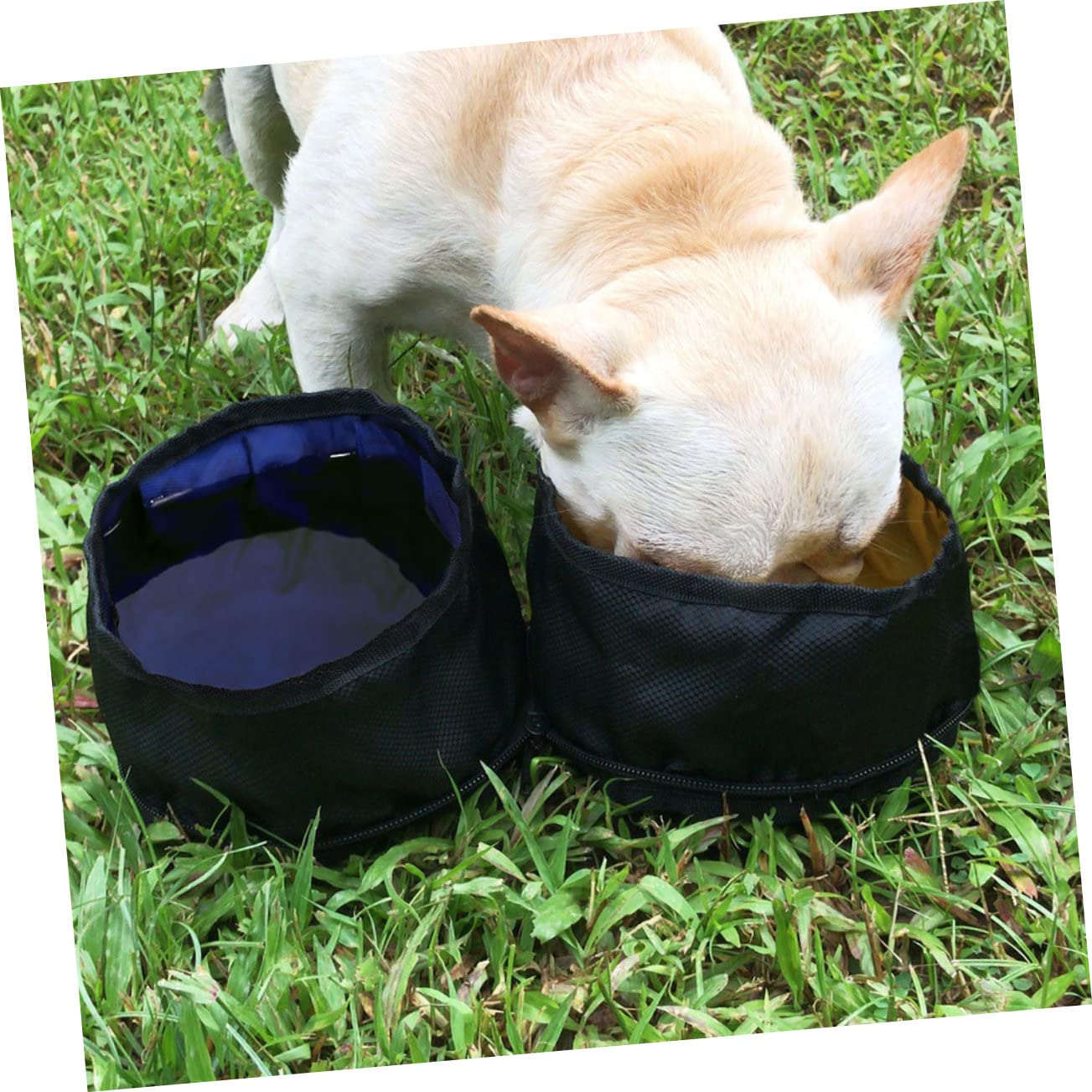 Beavorty 3pièces Gamelles Pliables pour Chiens Et De Deux Portables Accessoire De Voyage pour Animaux Pratique pour Extérieur Sorties