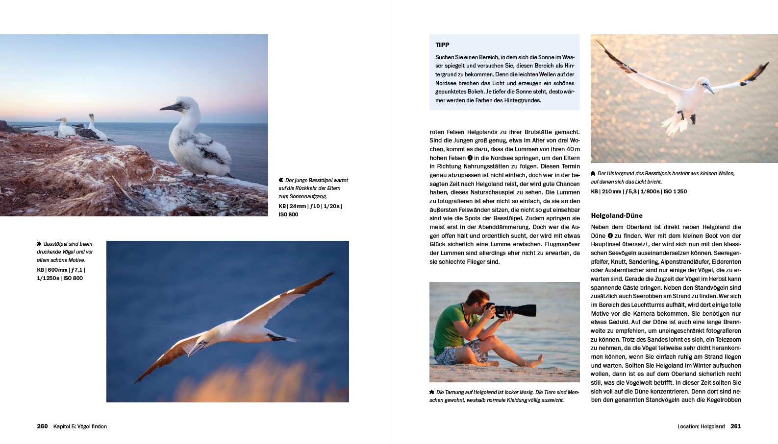 Vogelfotografie: Die große Fotoschule. Ihr praktischer Einstieg: Ausrüstung, Aufnahmetechnik, Bildgestaltung. Mit artenspezifischen Informationen