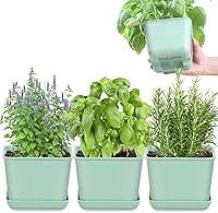 Oliz 4-Pack Green Herb Garden Planter Indoor Kit - Windowsill Pots with Drainage Tray for Herbs, Succulents & Plants